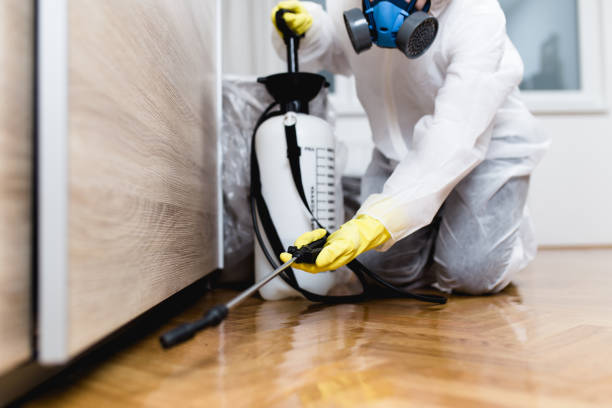Best Bed Bug Extermination  in Lowell, MI