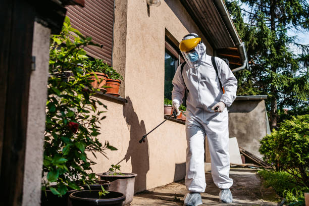 Best Flea Control Services  in Lowell, MI