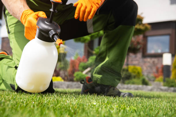 Best Ant Control Services  in Lowell, MI