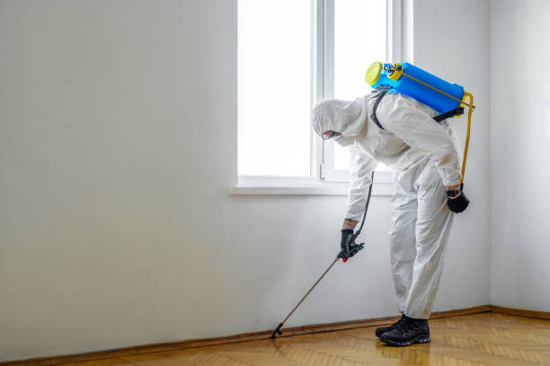 Best Pest Control for Restaurants  in Lowell, MI