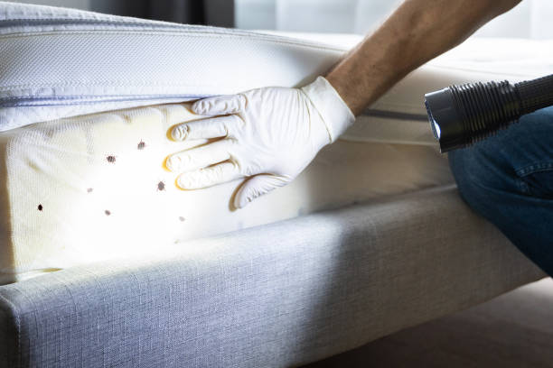 Best Exterminator Services  in Lowell, MI