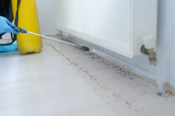 Best Pest Control Near Me  in Lowell, MI