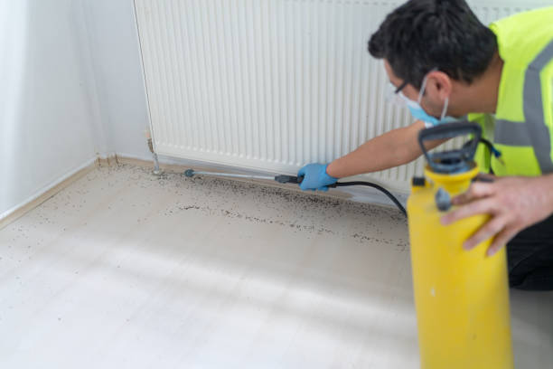 Pest Control for Restaurants in Lowell, MI