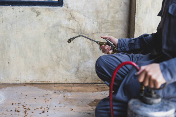 Best Best Pest Control Near Me  in Lowell, MI